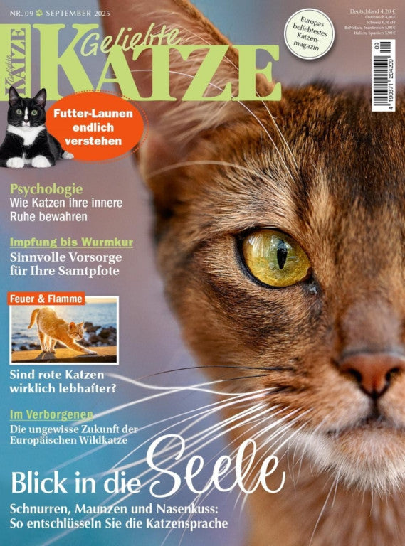 Geliebte Katze Mini-Abo