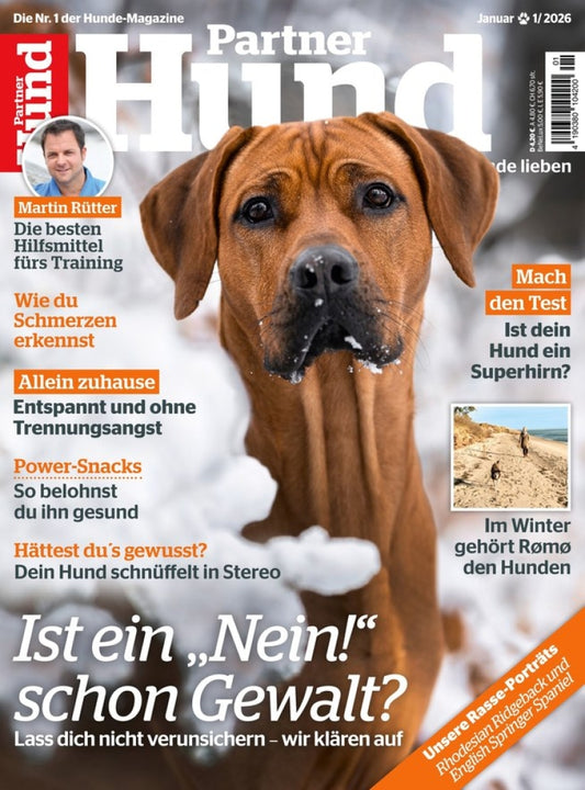 Partner Hund Abo
