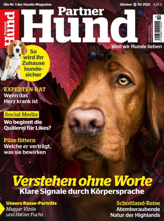 Partner Hund Mini-Abo