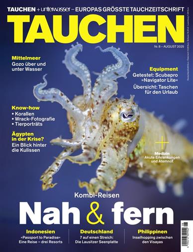 Tauchen