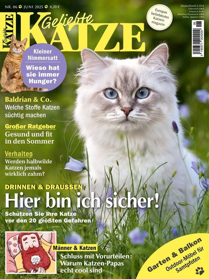 Geliebte Katze