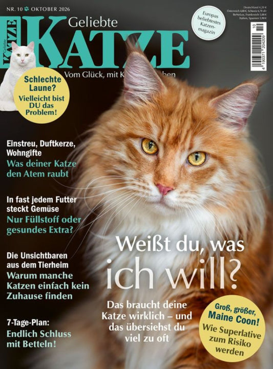 Geliebte Katze Abo